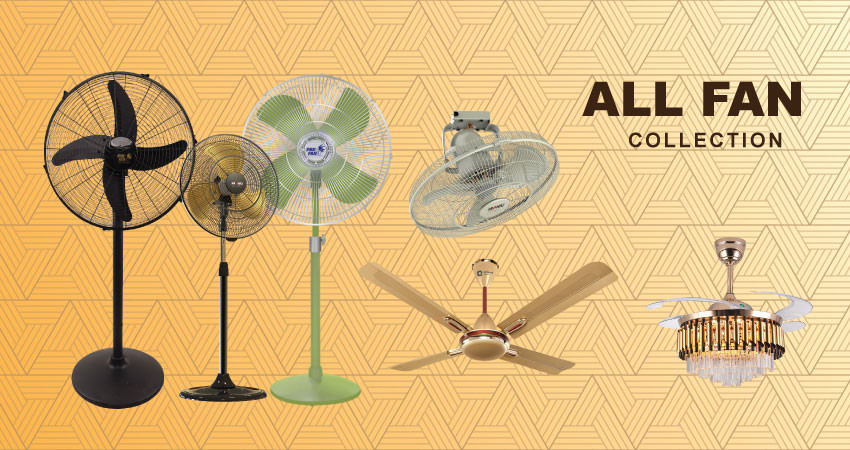 Fan